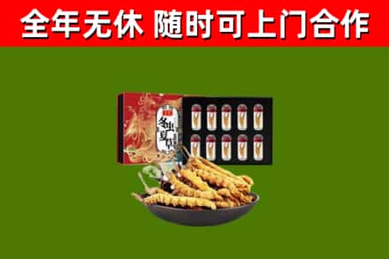 乐清市回收冬虫夏草价格